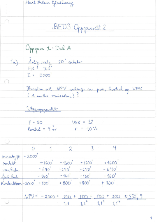 Skjermbilde 2019-02-16 kl. 13.41.24