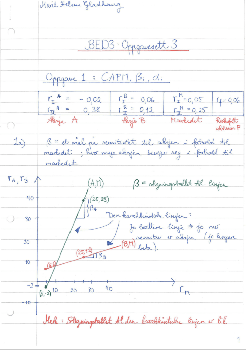 Skjermbilde 2019-02-16 kl. 13.41.35