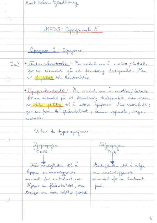 Skjermbilde 2019-02-16 kl. 13.42.00